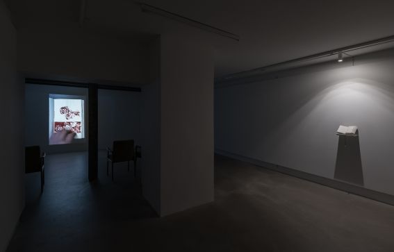  Thomas Thiede _ Video _ Nir Altman Galerie